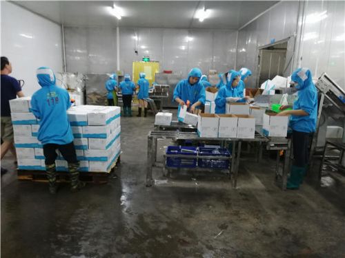 第三方专业验厂、生产环境检查与商品检测报告及礼仪服务全解析